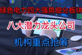 绿色电力迎来加速发展期，盘点四大细分板块，八大潜力龙头公司！视频封面