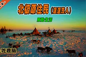 软糯鲜香，入口即化的生鹿脑，令人望而生畏，却是涅涅茨人的最爱视频封面