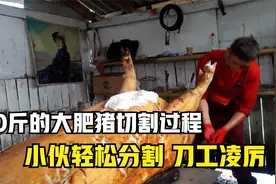 这头重600斤的肥猪，壮得跟头牛一样，小伙轻松分割，过程很流畅视频封面