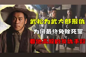 武松为武大郎报仇，为何最终可以免除死罪？看他高超的复仇手段。视频封面