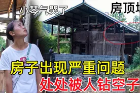 90后情侣改造农村老房子，被无良师傅骗惨了，直接损失好几万视频封面