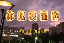 你把我灌醉视频封面