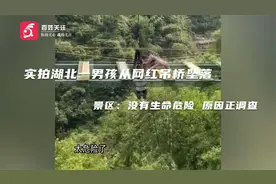 实拍湖北一男孩从网红吊桥坠落 景区：没有生命危险 原因正调查