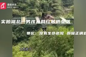 实拍湖北一男孩从网红吊桥坠落 景区：没有生命危险 原因正调查