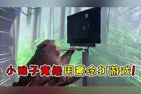 小猴子竟能靠意念玩儿乒乓球游戏？还能和电脑对打好几轮都不输！视频封面