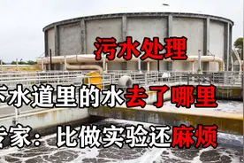 下水道的水去了哪里？污水是如何处理的？专家：比做实验还麻烦视频封面