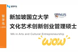 新加坡国立大学文化艺术创新创业管理硕士专业解析视频封面