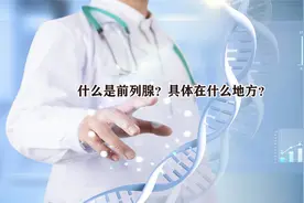 什么是前列腺？具体在什么地方？视频封面