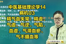 精气血失常：精虚、气虚、气逆、气陷、血虚、气滞血瘀、气不摄血视频封面
