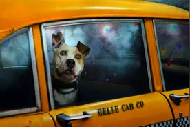 《60分钟失眠安神曲》给时间一点时间，让过去成为过去。