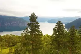 这世上最美风景为你而来：半路下车的人很多，你不必耿耿于怀。视频封面