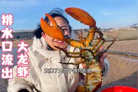 刮大风的沙滩上遍地海鲜出来呼吸，小章赶海抓到一只好大的龙虾！视频封面