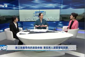 职教中国-26集成绩挑战与对策聚集《2020中国职教质量年度报告》视频封面