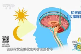 褪黑素可促进入睡，但并非人人都适合！听听专家说的|生活圈视频封面