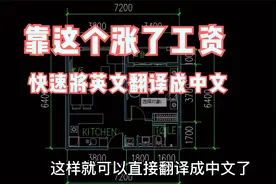 同事靠这个将CAD英文快速翻译成中文的方法涨了绩效工资，学起来