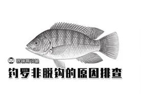 总是脱钩跑鱼？钓罗很多年，学费交了很多，终于明白原因了视频封面