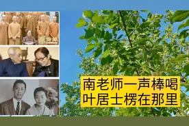 第45集，南怀瑾老师一声棒喝，叶曼居士愣在那里，二次打禅七进步视频封面