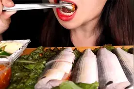 【Saera】马友鱼（声控咀嚼音）视频封面