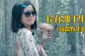 长在新疆沙土里的野生蘑菇，我在祖国最西边采蘑菇。视频封面