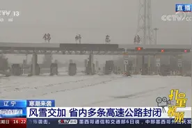 风雪交加，辽宁省内多条高速公路封闭视频封面