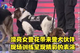 漂亮女警花带来警犬伙伴，现场训练呈现精彩的表演丨幸福来敲门视频封面