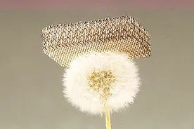 科学家：世界“最轻”金属材料，比钢铁硬10倍，还没一棵蒲公英重视频封面