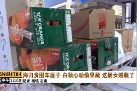 海归女馋车厘子，多次盗窃快递，已被北京警方拘留视频封面