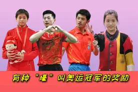 奥运冠军奖励有多壕？全红婵豪宅商铺一条龙，王楠3500万自掏腰包视频封面