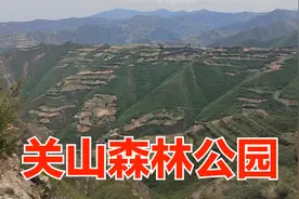 周末从兰州自驾关山森林公园，1小时到达，路好，空气好，真凉快视频封面
