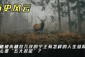 探秘被朱棣拉入伙的宁王有怎样的人生结局。什么是“五大名窑”？视频封面