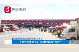 千里之外送玉米到贵阳 运费为啥迟迟不给？货车司机欲哭无泪视频封面