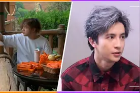 薛之谦炸毛发型现身，和长颈鹿抢着啃树枝，网友直言减肥挺拼的