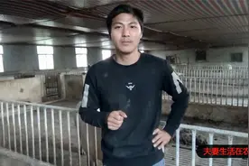 小猪脚痛脚瘸，关节肿大该怎么治疗，小伙教你一招打一针就好视频封面