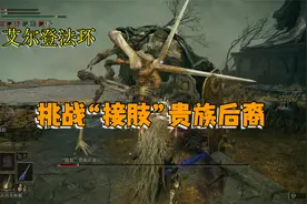 艾尔登法环：返回候王礼拜堂，挑战“接肢”贵族后裔，很容易的视频封面