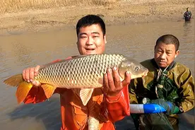 河北捕鱼大队围剿大运河，一个猛子下去五六斤大货，金黄灿灿的视频封面