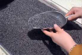你家还在吃黑米吗？我也是刚知晓，不能当耳旁风，记得叮嘱家里人视频封面