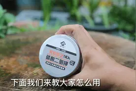 促进植物开花用什么肥料？园艺师教你，使用磷酸二氢钾就可以视频封面