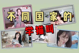 不同国家的学猫叫，我猜这个视频只有男生会看完吧！