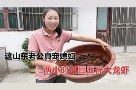 远嫁媳妇想吃大龙虾，老公竟跑去河里抓，抓到满满一盆真过瘾视频封面
