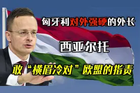 西亚尔托：敢“横眉冷对”欧盟的指责，也敢挺身而出为中国说话！视频封面