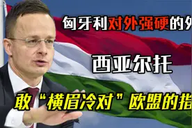 西亚尔托：敢“横眉冷对”欧盟的指责，也敢挺身而出为中国说话！视频封面