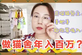 私人猫舍真的可以年入百万吗？高盈利算式背后的现实其实是这样视频封面