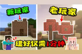 我的世界：新手才建火柴盒！4种老玩家才知道的快速建房技巧