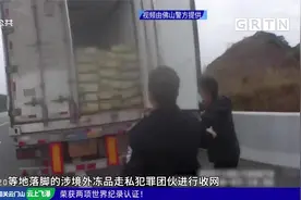 全面收网!佛山警方查获走私冻品350吨，抓获犯罪嫌疑人206名视频封面