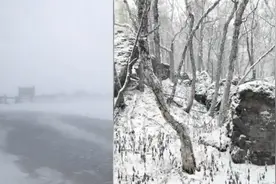 积雪最深1米！长白山景区因雪太大临时关闭，道路结冰能见度极低视频封面