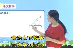 青岛版七年级下册数学学习视频辅导（更多资源请看主页第一个作品视频封面