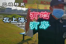 三峡移民在上海：分了土地建住房，每月两千多，老父亲95岁在重庆视频封面