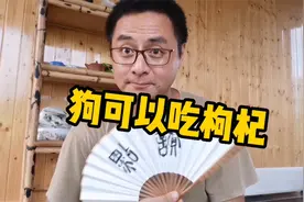 狗狗可以吃的滋润食品，枸杞你吃对了吗视频封面