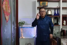 孔雀鱼侧游咋回事？余月发现一规律，稍作调整，竟然都好了视频封面