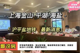 好消息：沪平盐市域铁路最新进展，平湖5站，海盐2站，直达上海！视频封面